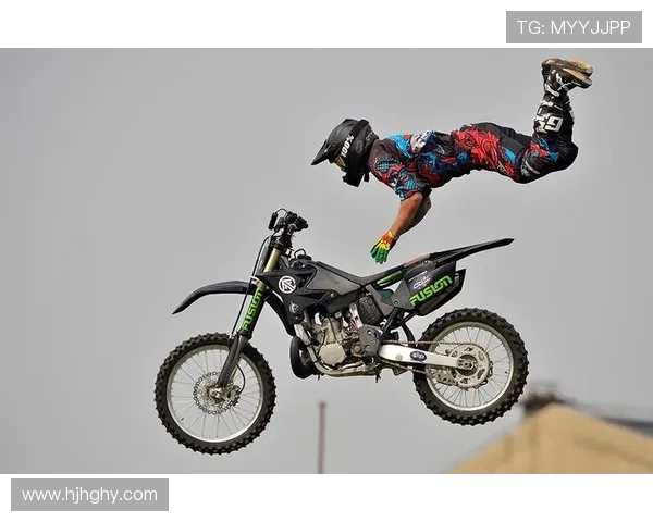 上海极限运动队技术表现分析与数据解读探讨