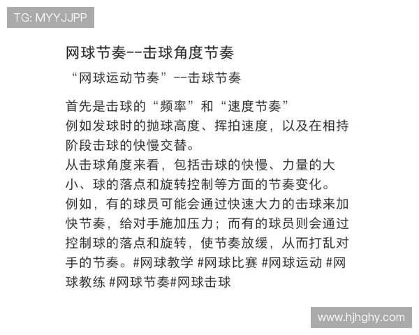 上海网球队的节奏解析与未来发展展望