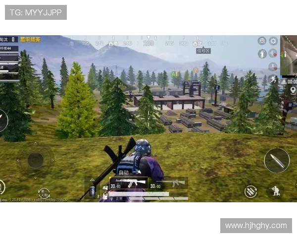 从零开始掌握和平精英耐力技巧全解析助你轻松上手游戏攻略