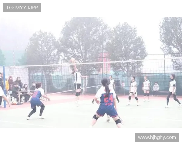 南京排球队的团队协作之道：共筑辉煌的排球梦想与精神