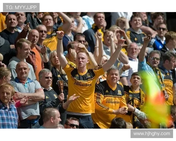 赫尔城与狼队激战正酣赛况分析与精彩瞬间回顾