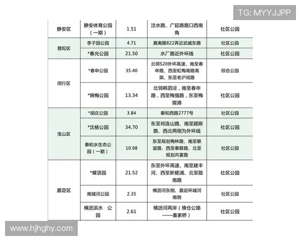 上海飞盘队在攀岩联赛中的比赛经验与表现分析