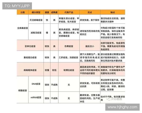 南京攀岩队配合分析与其他队伍的对比研究探讨
