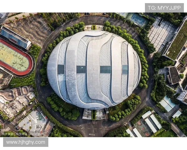 广州极限运动队的运营模式与发展趋势深度解析